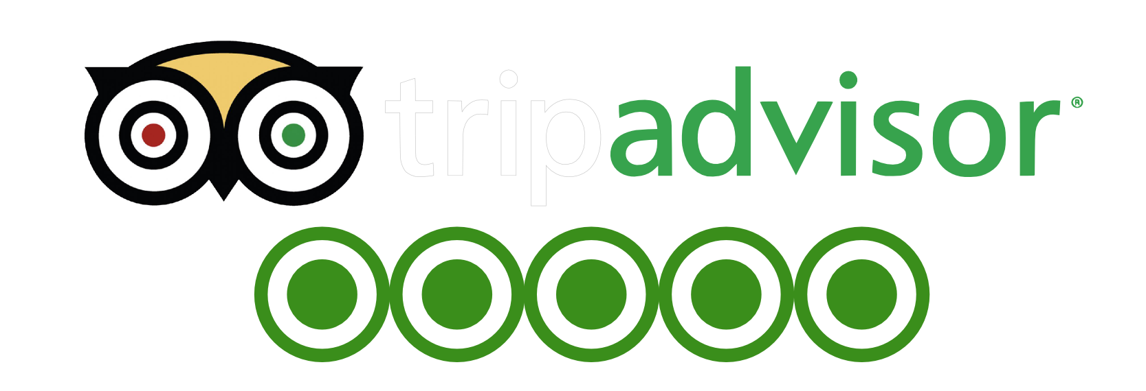 Detail Download Logo Review Us Tripadsivor Nomer 37