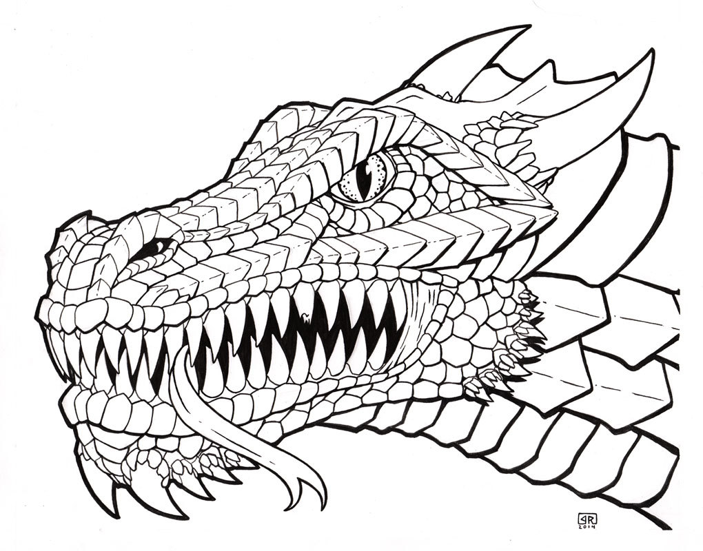 Detail Dragon Skull Drawing Nomer 4