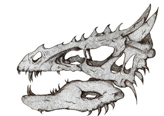 Detail Dragon Skull Drawing Nomer 18