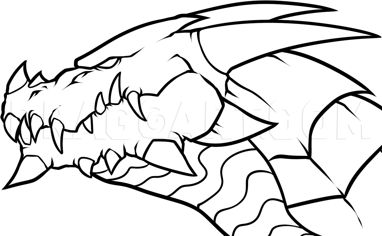 Detail Dragon Skull Drawing Nomer 2