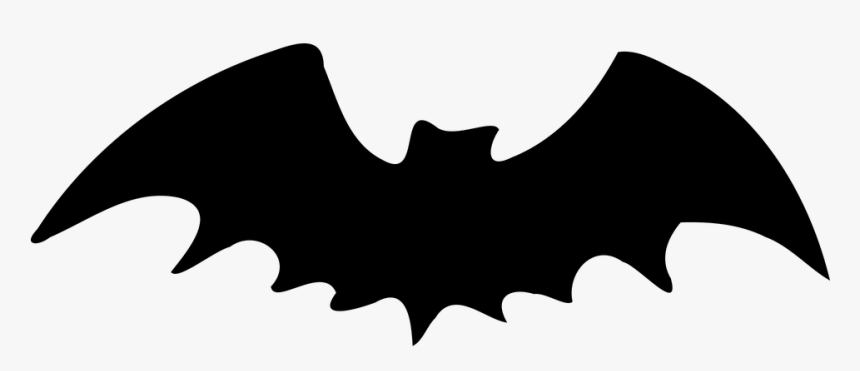 Detail Flying Bat Nomer 10