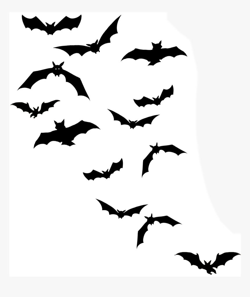 Detail Flying Bat Nomer 5