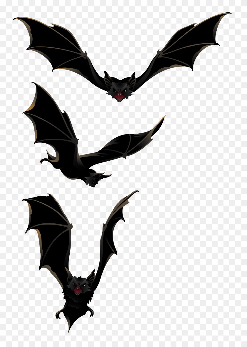 Detail Flying Bat Nomer 7