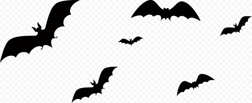 Detail Flying Bat Nomer 8