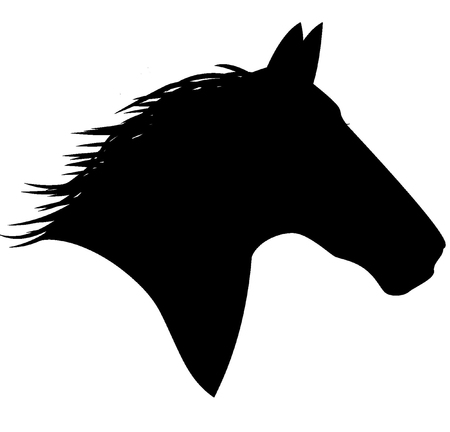 Detail Pferdekopf Silhouette Nomer 13