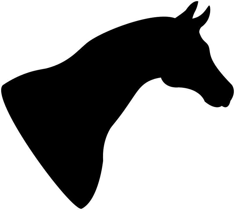 Detail Pferdekopf Silhouette Nomer 15