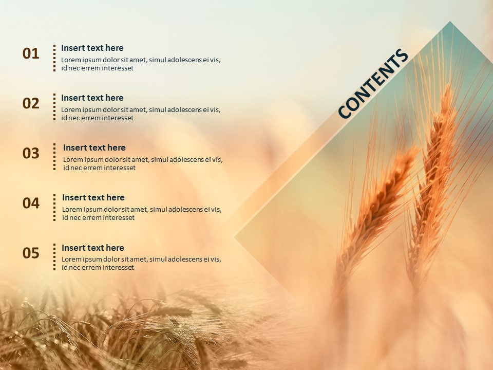 Detail Template Powerpoint 365 Nomer 31