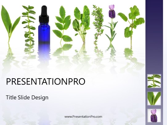Detail Template Ppt Herbal Nomer 12