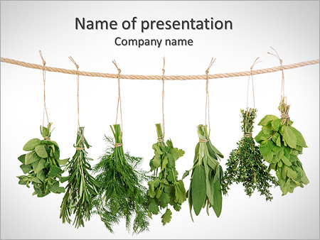 Detail Template Ppt Herbal Nomer 3