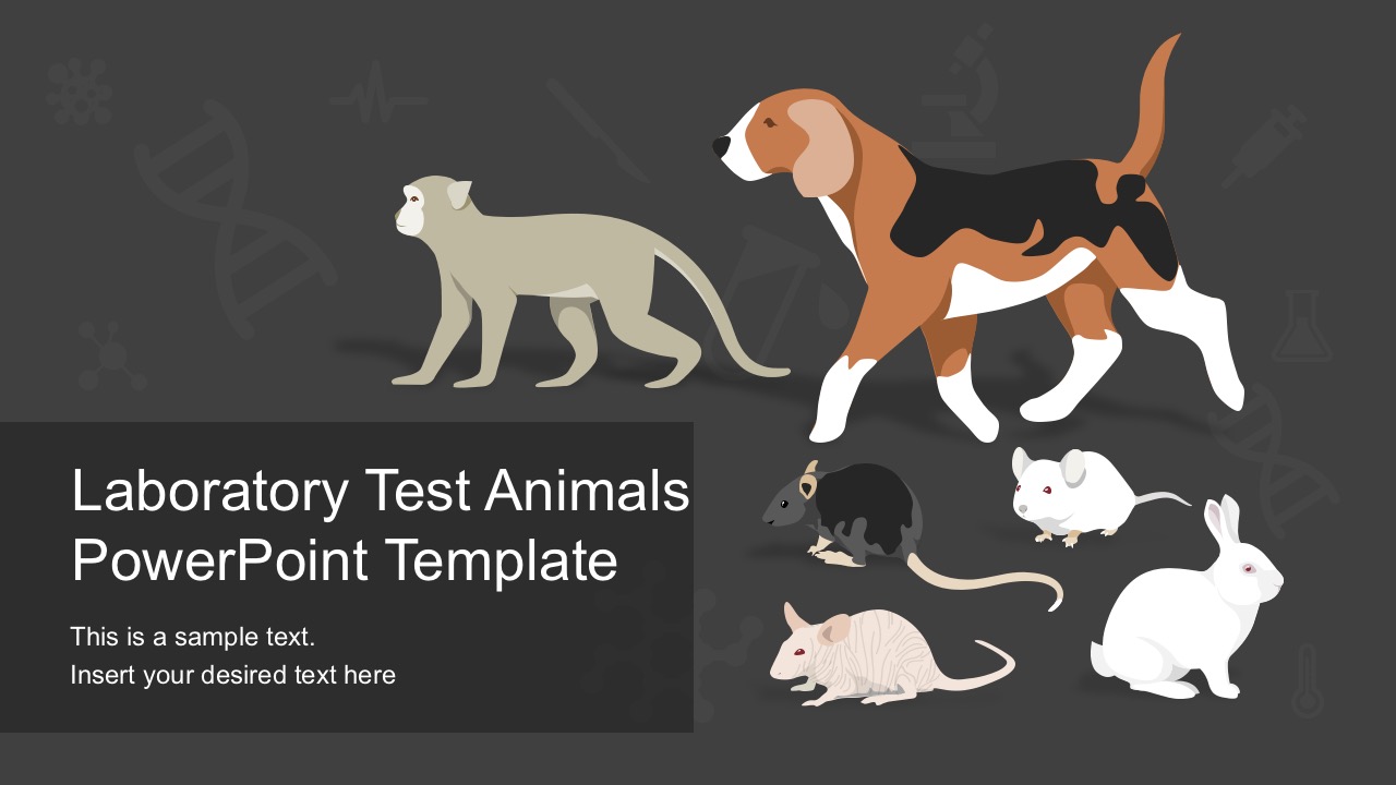 Detail Template Ppt Laboratory Nomer 50