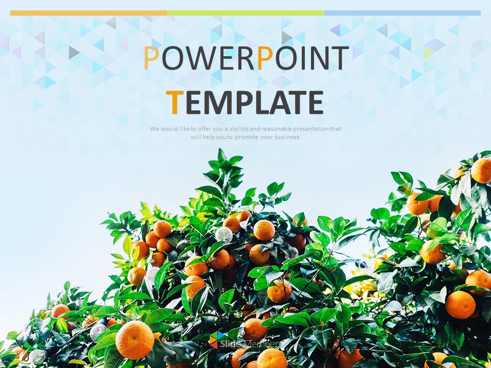 Detail Template Ppt Mandarin Nomer 26