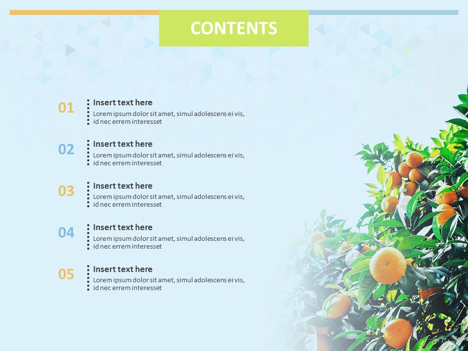 Detail Template Ppt Mandarin Nomer 32