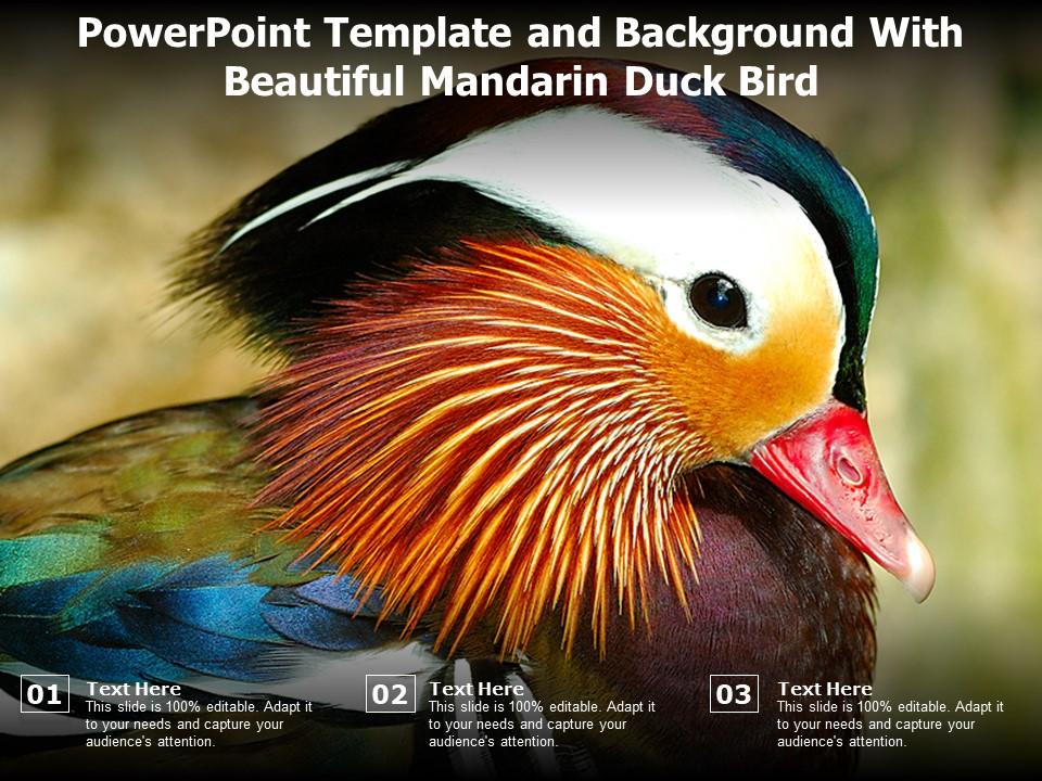 Detail Template Ppt Mandarin Nomer 37