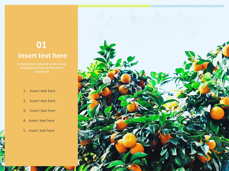 Detail Template Ppt Mandarin Nomer 41