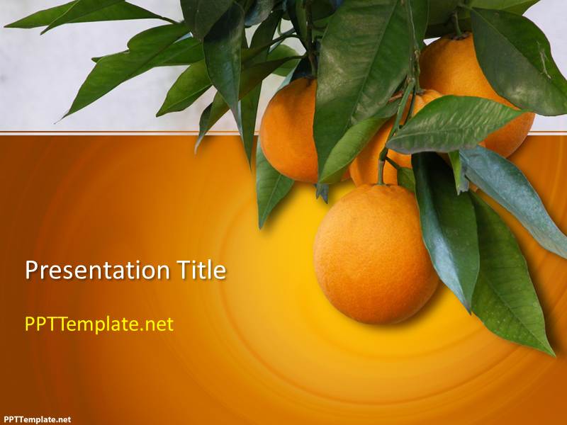 Detail Template Ppt Mandarin Nomer 50