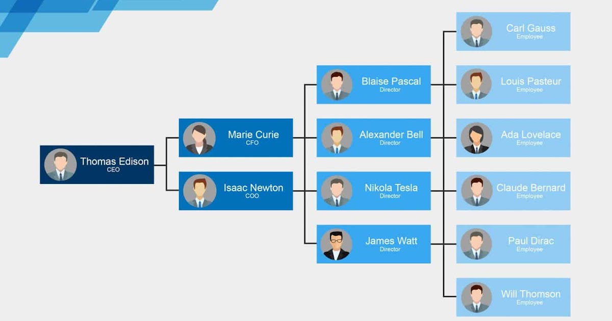 Detail Template Struktur Organisasi Ppt Nomer 17