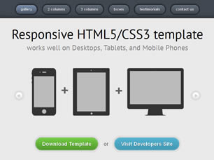 Detail Template Web Responsive Free Nomer 41