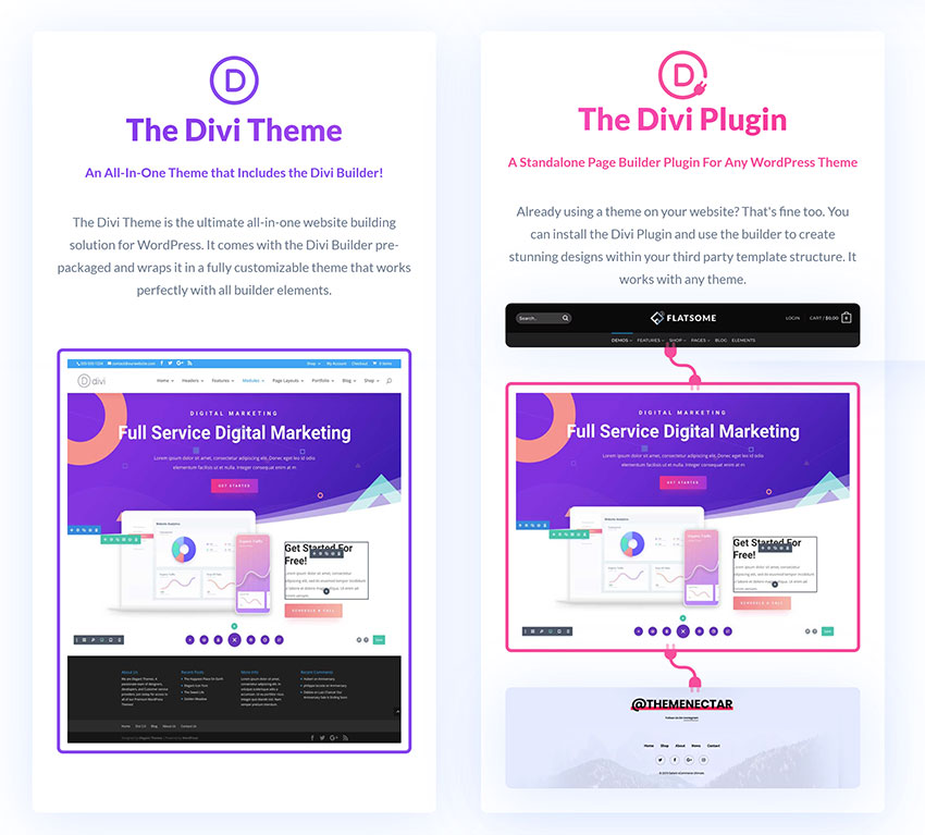 Detail Template Wordpress Divi Nomer 22