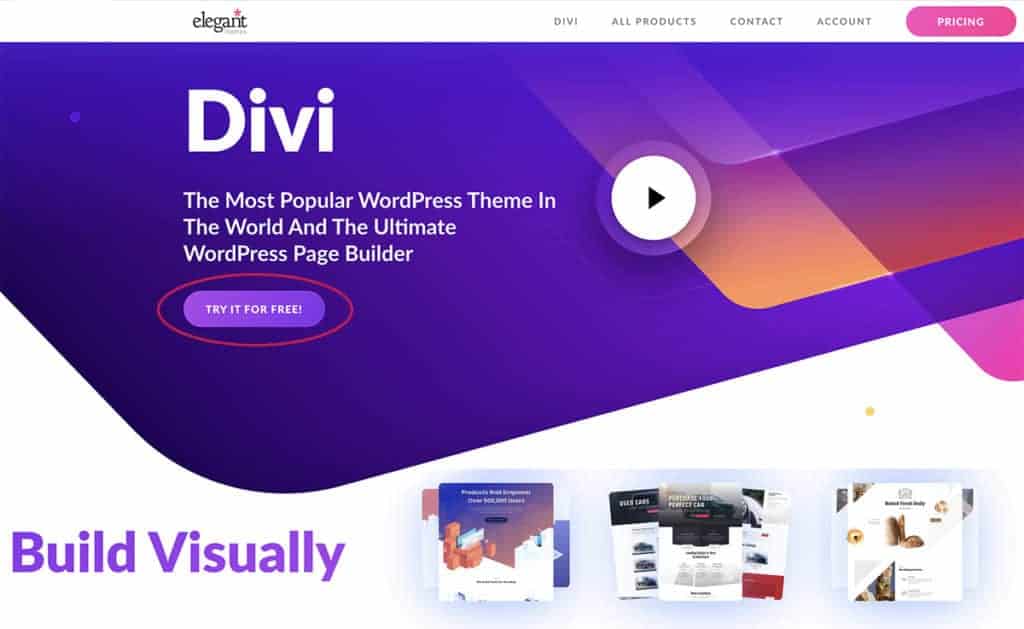 Detail Template Wordpress Divi Nomer 24