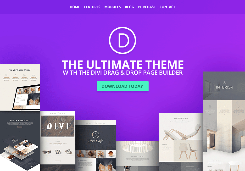 Detail Template Wordpress Divi Nomer 25