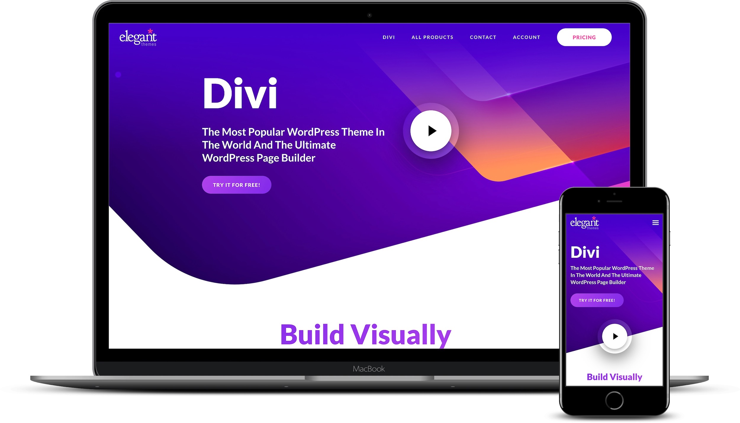 Detail Template Wordpress Divi Nomer 33