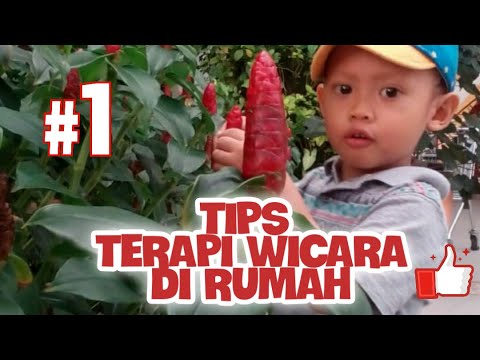 Detail Terapi Wicara Di Rumah Nomer 19