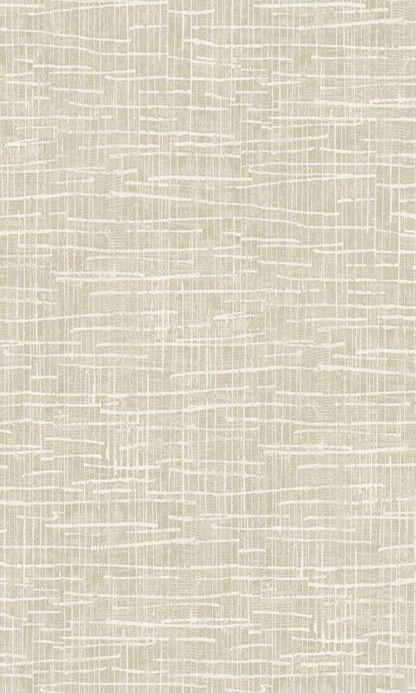 Detail Titanium Background Nomer 28