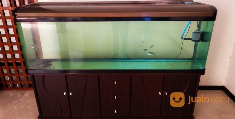 Detail Toko Aquarium Terlengkap Di Bandung Nomer 35