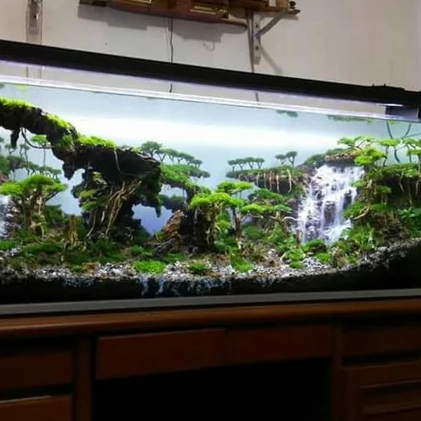 Detail Toko Aquascape Di Bandung Nomer 33