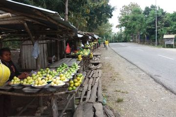 Detail Toko Buah Pinggir Jalan Nomer 41