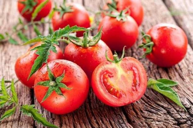 Detail Tomat Adalah Sayur Atau Buah Nomer 11