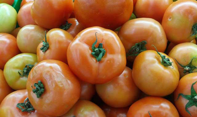 Detail Tomat Adalah Sayur Atau Buah Nomer 36