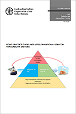 Detail Traceability Exercise Template Nomer 28