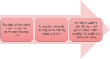 Detail Traceability Exercise Template Nomer 32