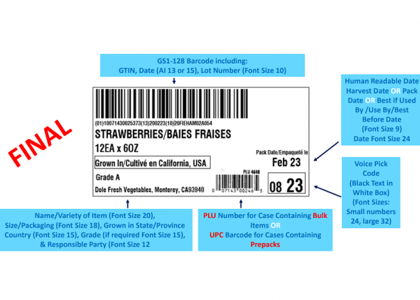 Detail Traceability Exercise Template Nomer 39