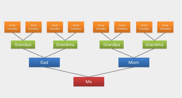 Detail Tree Diagram Template Powerpoint Free Download Nomer 27