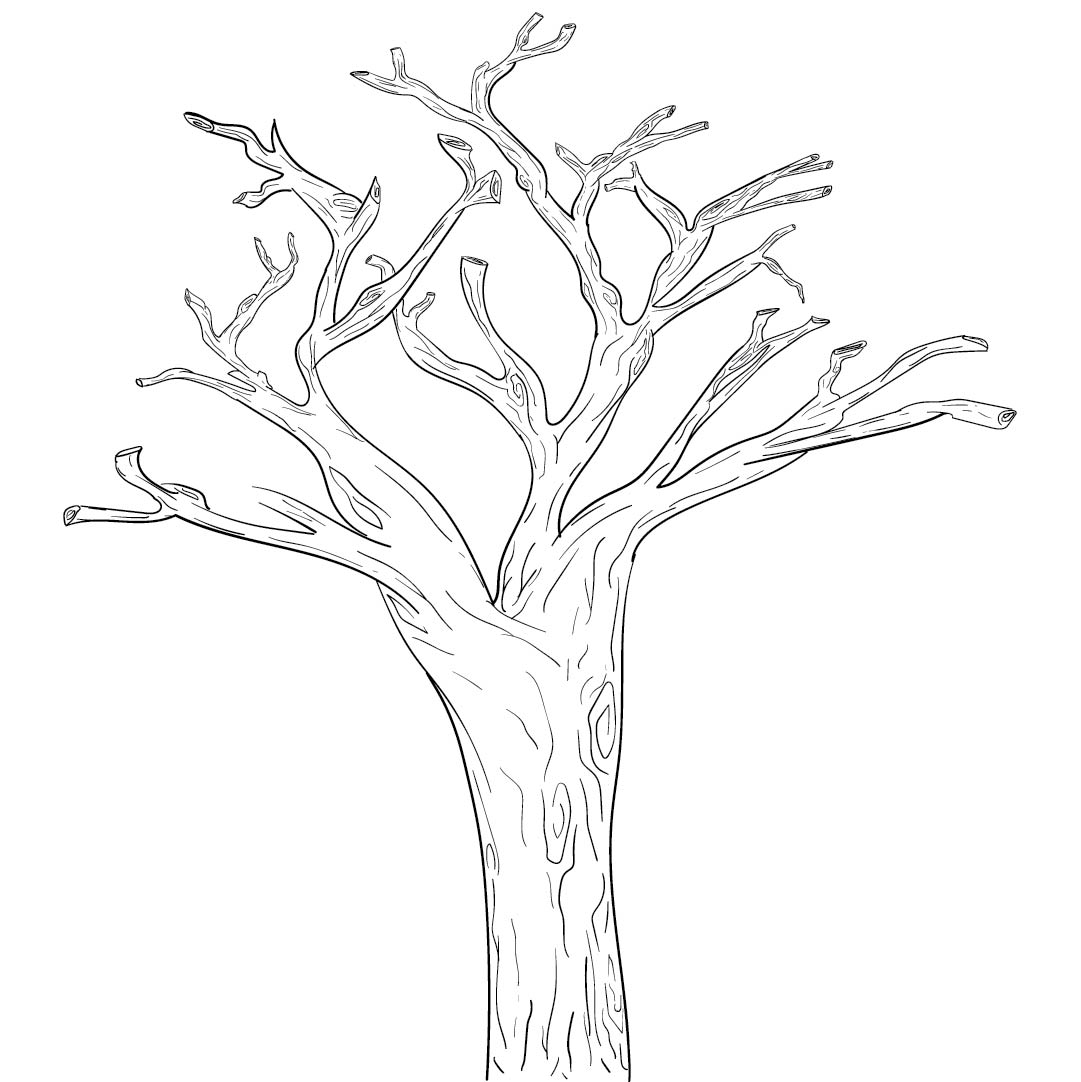 Detail Tree Trunk Template Nomer 9