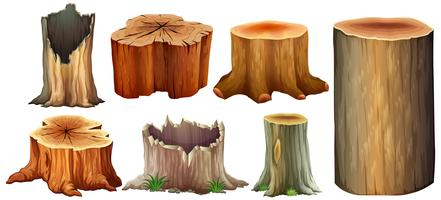 Detail Tree Trunk Template Nomer 29