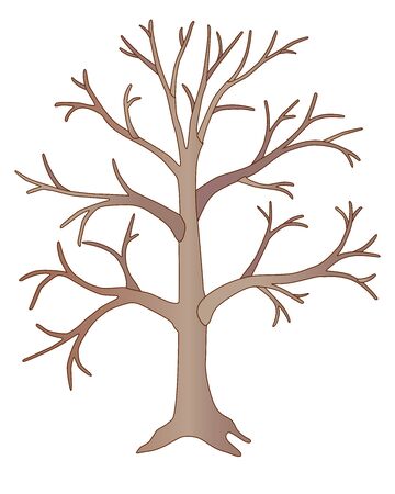Detail Tree Trunk Template Nomer 30
