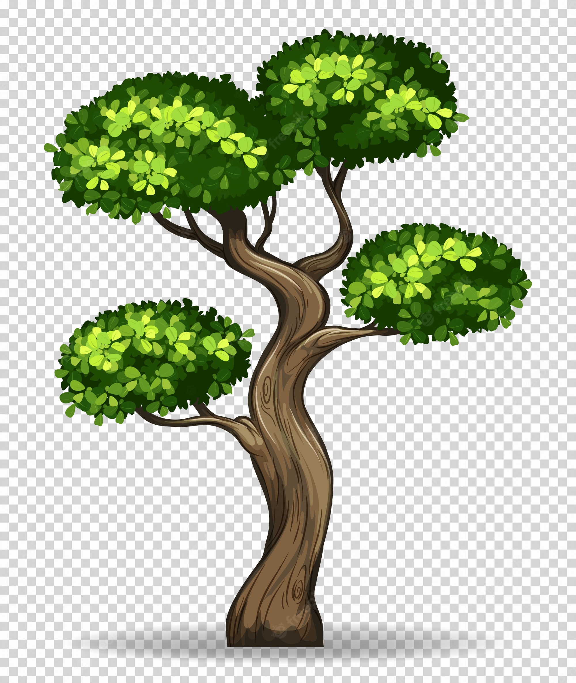 Detail Tree Trunk Template Nomer 38