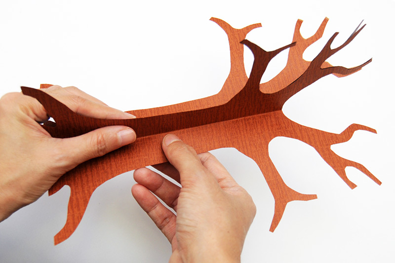 Detail Tree Trunk Template Nomer 8
