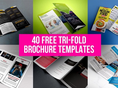 Detail Tri Fold Brochure Psd Template Free Download Nomer 32