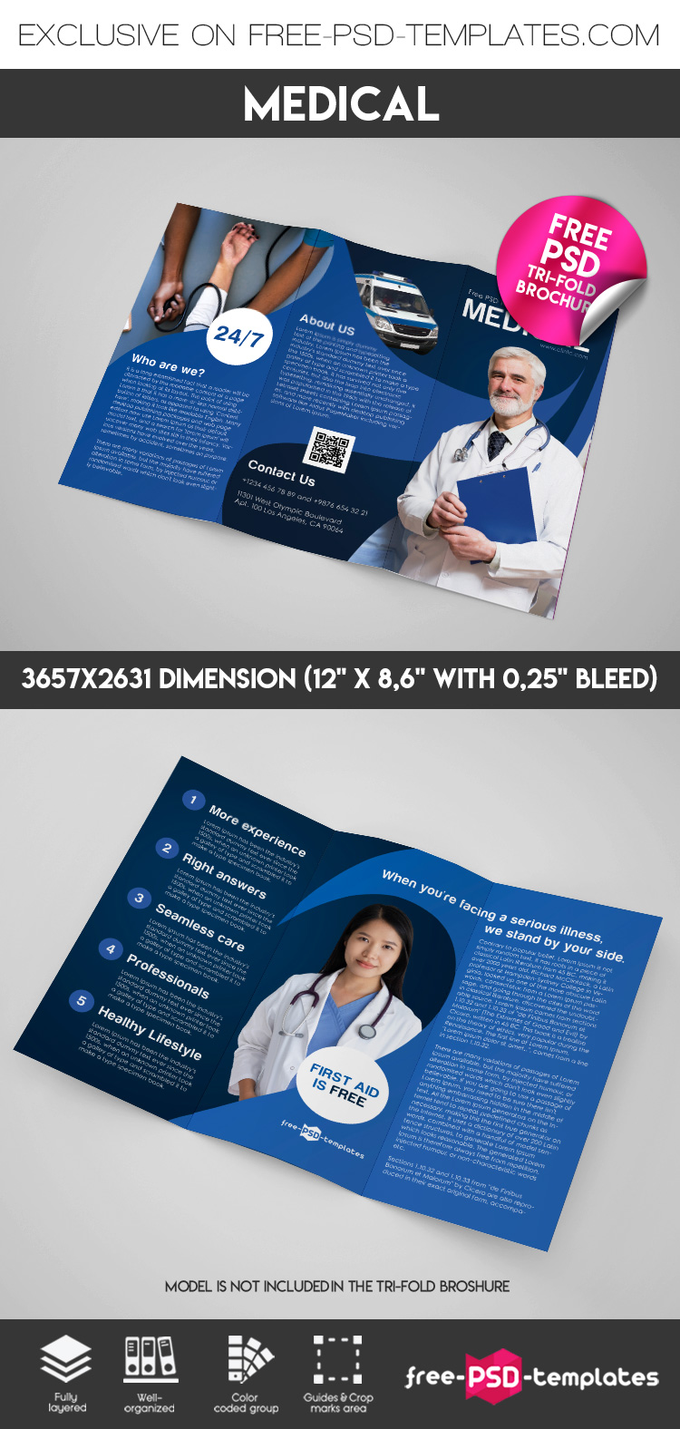 Detail Tri Fold Brochure Psd Template Free Download Nomer 42