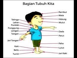 Detail Tubuh Manusia Kartun Nomer 11