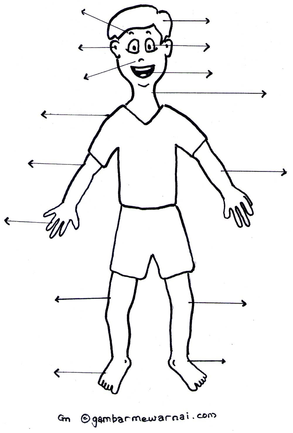 Detail Tubuh Manusia Kartun Nomer 5