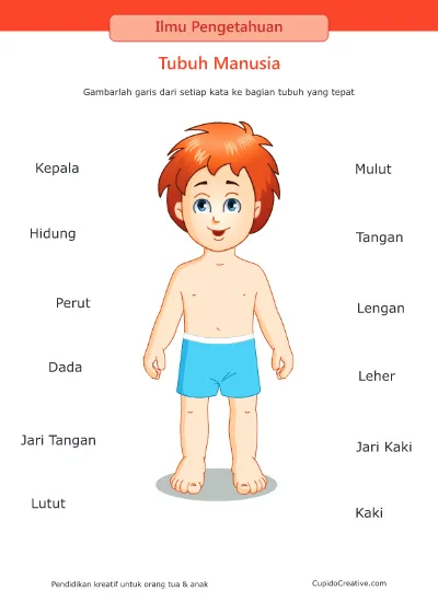 Detail Tubuh Manusia Kartun Nomer 6