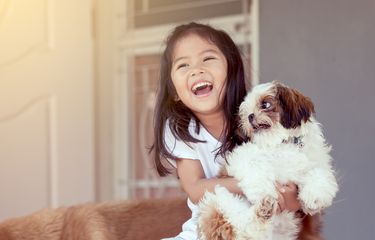 Tugas Bahasa Inggris Posisi Gambar Hewan Di Atas Kandang - KibrisPDR