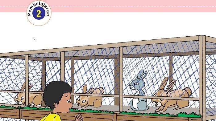 Detail Tugas Bahasa Inggris Posisi Gambar Hewan Di Atas Kandang Nomer 2