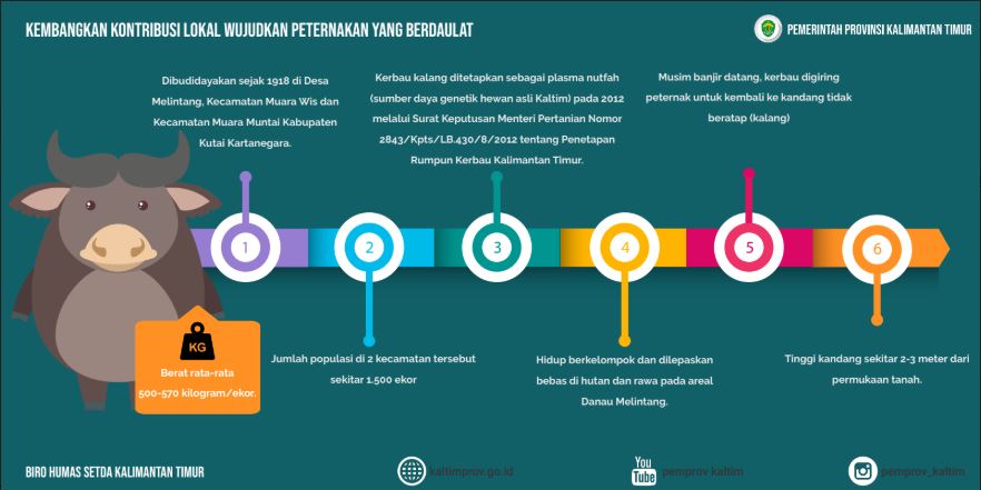 Detail Tugas Bahasa Inggris Posisi Gambar Hewan Di Atas Kandang Nomer 41