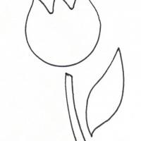 Detail Tulip Template To Print Nomer 12